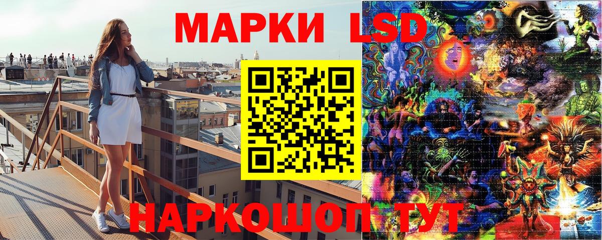 Наркотические марки 1,5мг  Наркотические марки  Курчалой  Вход с VPN 