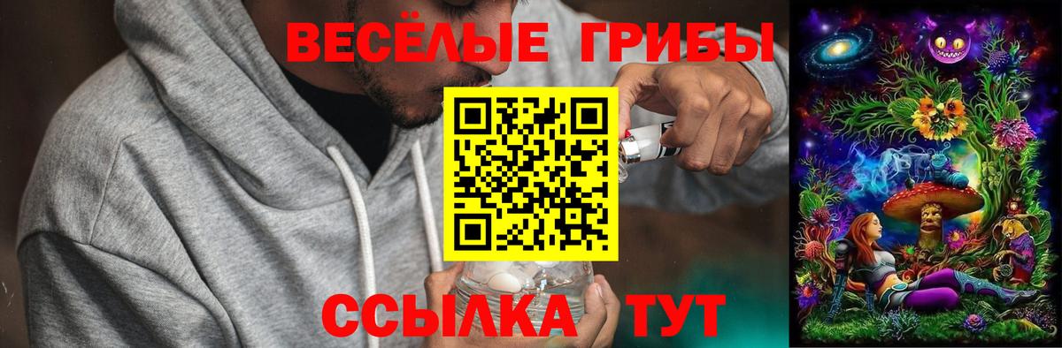 COCAIN Курчалой