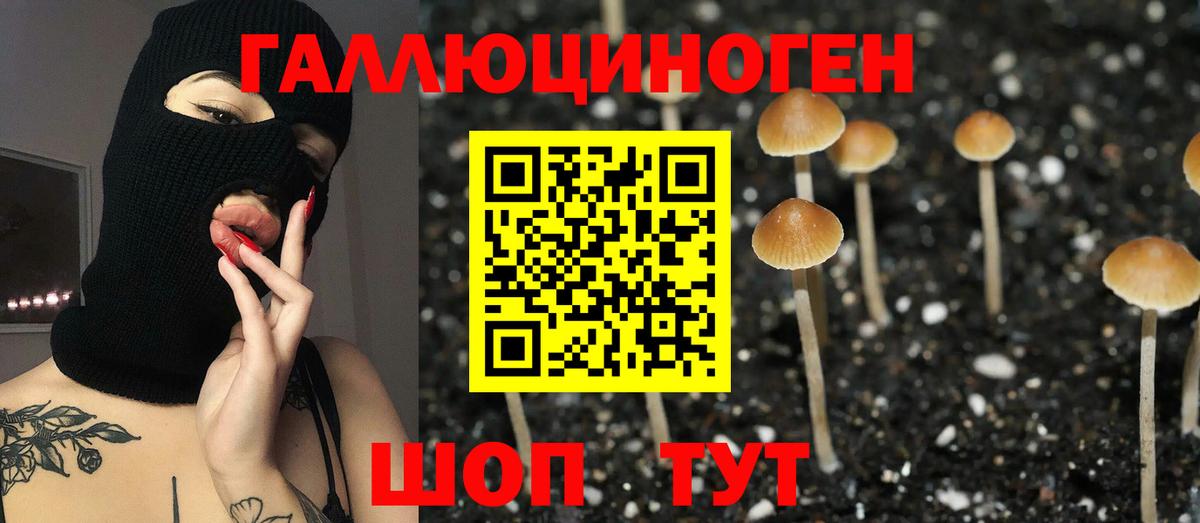 Галлюциногенные грибы прущие грибы  Псилоцибиновые грибы MAGIC MUSHROOMS  Вход с VPN  Курчалой 
